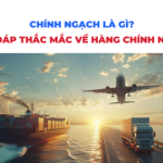 Chính ngạch là gì? Giải đáp mọi thắc mắc về hàng chính ngạch