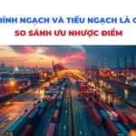 Tiểu ngạch và chính ngạch là gì? So sánh và phân biệt