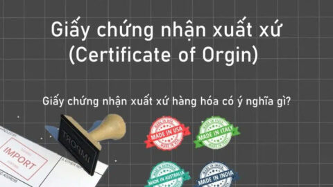 Những Điều Có Thể Bạn Chưa Biết Về Giấy Chứng Nhận Xuất Xứ Hàng Hóa (C/O)