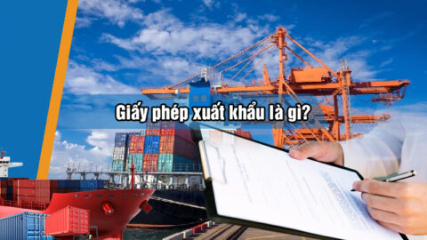 Giấy Phép Xuất Khẩu Là Gì? Quy Trình Xin Giấy Phép Xuất Khẩu Hàng Hóa