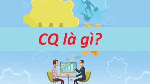 CQ (Certificate of Quality) là gì? Quy trình xin cấp chứng nhận chất lượng