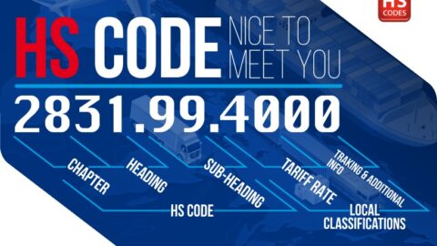 HS Code là gì trong xuất nhập khẩu? Cách tra cứu mã HS Code 2025