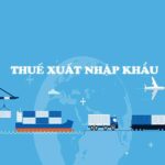 Thuế xuất nhập khẩu là gì? Hướng dẫn chi tiết cách tính thuế nhập khẩu