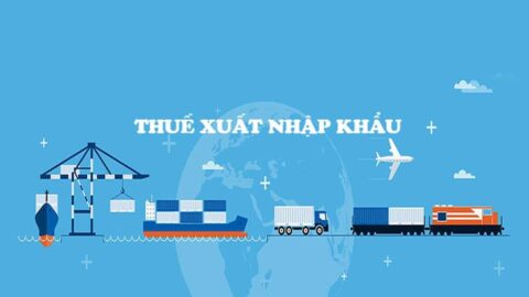 Thuế xuất nhập khẩu là gì? Hướng dẫn chi tiết cách tính thuế nhập khẩu