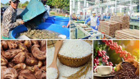 Top 8 Mặt Hàng Việt Nam Có Cơ Hội Tăng Trưởng Xuất Khẩu Sang Trung Quốc Nhờ EVFTA