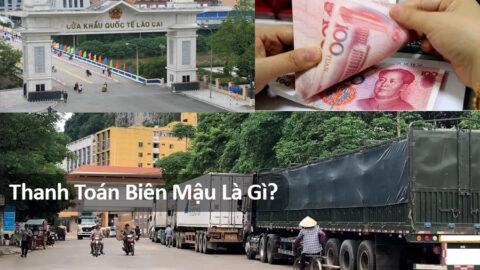 Thanh Toán Biên Mậu Là Gì? Các Hình Thức Thanh Toán Phổ Biến Hiện Nay