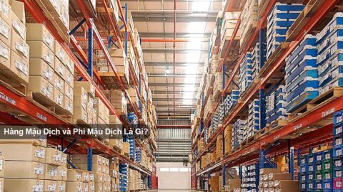 Mậu dịch và phi mậu dịch là gì? Sự khác nhau giữa hàng mậu dịch và phi mậu dịch